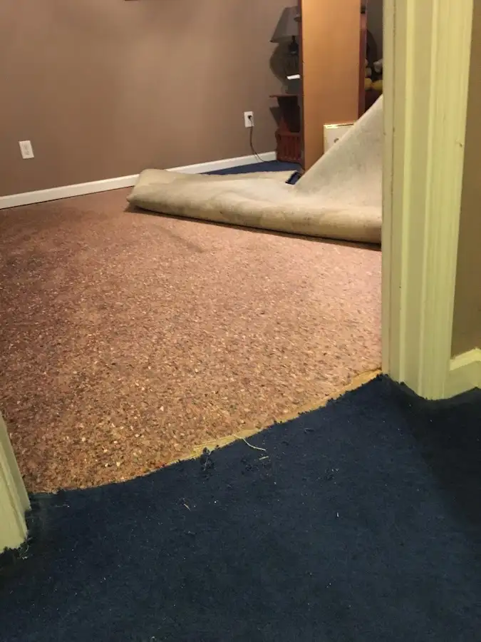 Carpet pad removal revealing water damage during Drying & Dehumidification in Tempe
